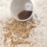 Clever, Inexpensive Ways to Remove Carpet Stains