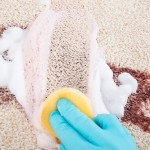 Make Your Own Carpet Cleaning Solution at Home