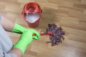 Cleaning Hardwood Floors