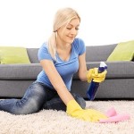 Cleaning Carpet