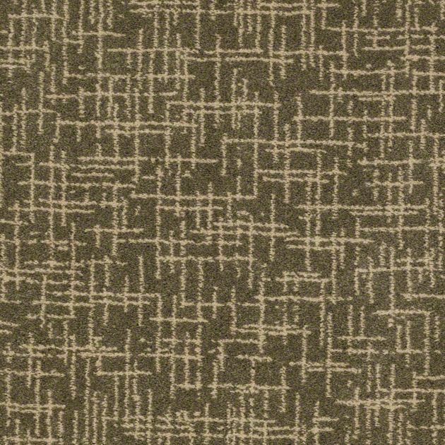 tuftex applause swiss almond Carpeting